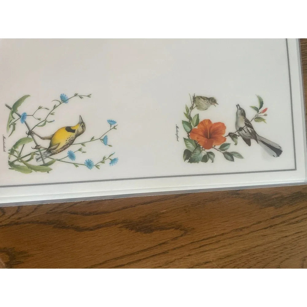 Vintage Roger Tory Peterson Songbird Placemats Set of 6 Nature Bird Art Decor